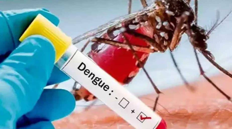 Dengue 3 Dead - Updatenews360